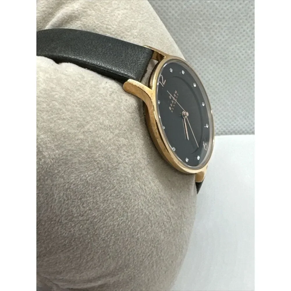 Skagen Anita Lille SKW2267 Women Charcoal Leather Analog Dial Wrist Watch JNA920